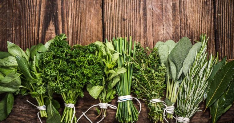 Acerola- produkt, który warto zażywać w każdym wieku