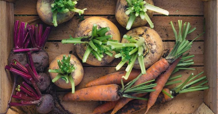 Jak zacząć prawidłowo się odżywiać?