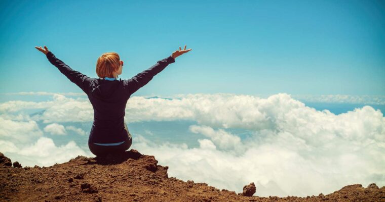 Branża kosmetyczna w Katowicach