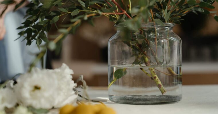 Ekstrakt z pestek grejpfruta: skład, właściwości, dawkowanie