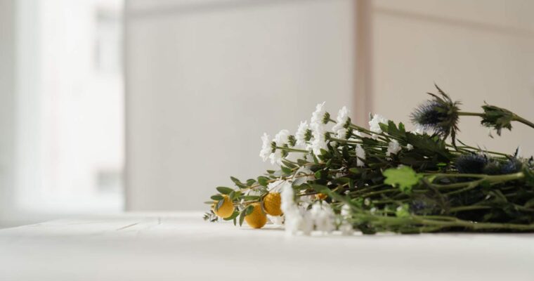 Czystek i jego zastosowanie lecznicze