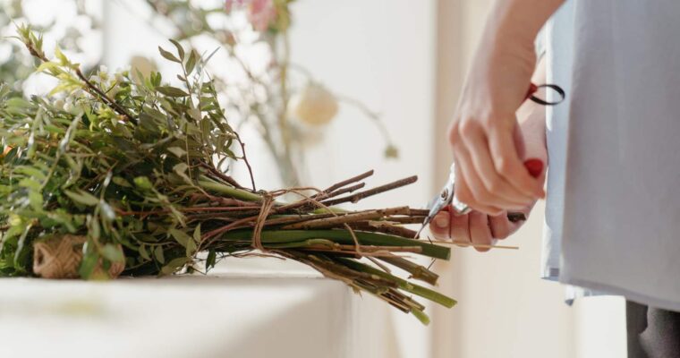 Czystki lekarskie i ich zastosowanie
